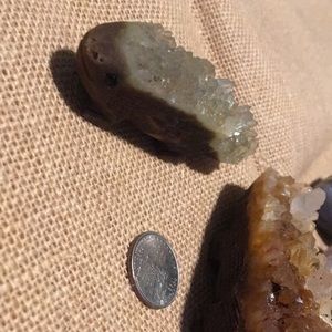 Carved rare Smokey Citrine Salamander